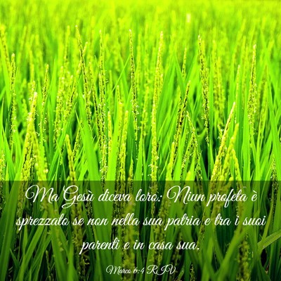 Picture 03 - Marco 6:4 RIV - Ma Gesù diceva loro: Niun profeta è sprezzato - Bible Verse Picture