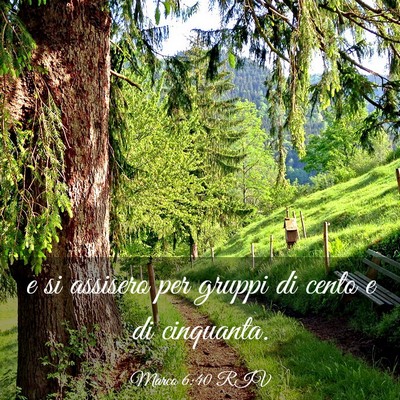 Picture 03 - Marco 6:40 RIV - e si assisero per gruppi di cento e di - Bible Verse Picture