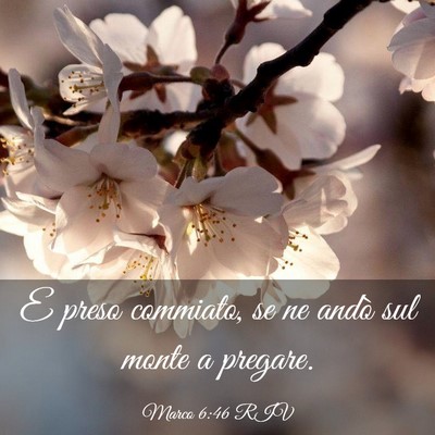 Picture 03 - Marco 6:46 RIV - E preso commiato, se ne andò sul monte a - Bible Verse Picture