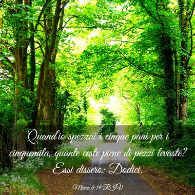 Picture 03 - Marco 8:19 RIV - Quand’io spezzai i cinque pani per i - Bible Verse Picture