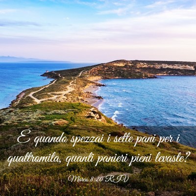Picture 03 - Marco 8:20 RIV - E quando spezzai i sette pani per i quattromila, - Bible Verse Picture