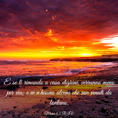 Picture 03 - Marco 8:3 RIV - E se li rimando a casa digiuni, verranno meno per - Bible Verse Picture