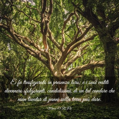 Picture 03 - Marco 9:3 RIV - E fu trasfigurato in presenza loro; e i suoi - Bible Verse Picture