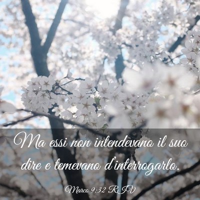 Picture 03 - Marco 9:32 RIV - Ma essi non intendevano il suo dire e temevano - Bible Verse Picture