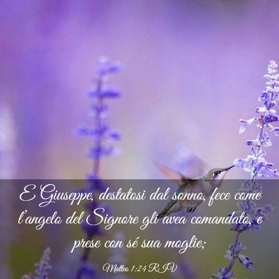 Picture 03 - Matteo 1:24 RIV - E Giuseppe, destatosi dal sonno, fece come - Bible Verse Picture