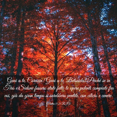 Picture 03 - Matteo 11:21 RIV - Guai a te, Corazin! Guai a te, Betsaida! Perché - Bible Verse Picture