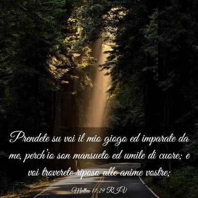 Picture 03 - Matteo 11:29 RIV - Prendete su voi il mio giogo ed imparate da me, - Bible Verse Picture