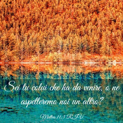Picture 03 - Matteo 11:3 RIV - Sei tu colui che ha da venire, o ne aspetteremo - Bible Verse Picture