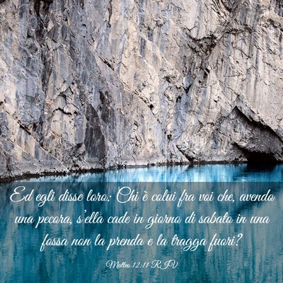 Picture 03 - Matteo 12:11 RIV - Ed egli disse loro: Chi è colui fra voi che, - Bible Verse Picture