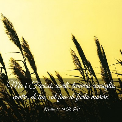 Picture 03 - Matteo 12:14 RIV - Ma i Farisei, usciti, tennero consiglio contro di - Bible Verse Picture