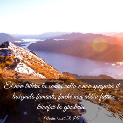 Picture 03 - Matteo 12:20 RIV - Ei non triterà la canna rotta e non spegnerà il - Bible Verse Picture