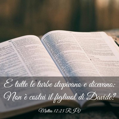 Picture 03 - Matteo 12:23 RIV - E tutte le turbe stupivano e dicevano: Non è - Bible Verse Picture