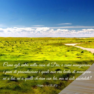 Picture 03 - Matteo 12:4 RIV - Come egli entrò nella casa di Dio, e come - Bible Verse Picture