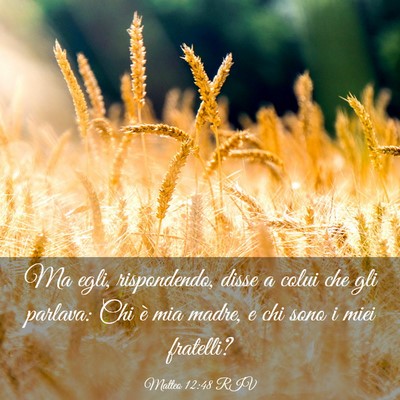 Picture 03 - Matteo 12:48 RIV - Ma egli, rispondendo, disse a colui che gli - Bible Verse Picture