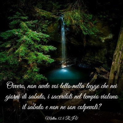 Picture 03 - Matteo 12:5 RIV - Ovvero, non avete voi letto nella legge che nei - Bible Verse Picture