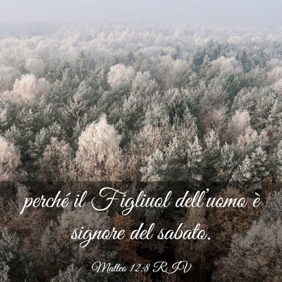 Picture 03 - Matteo 12:8 RIV - perché il Figliuol dell’uomo è signore del - Bible Verse Picture