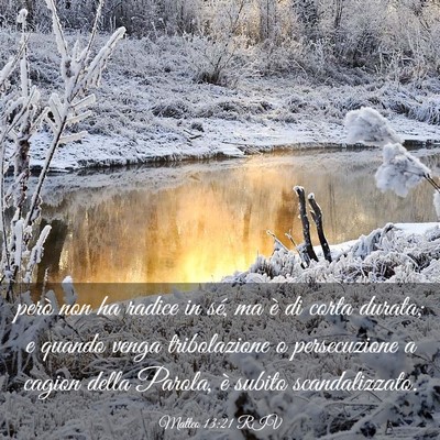 Picture 03 - Matteo 13:21 RIV - però non ha radice in sé, ma è di corta - Bible Verse Picture