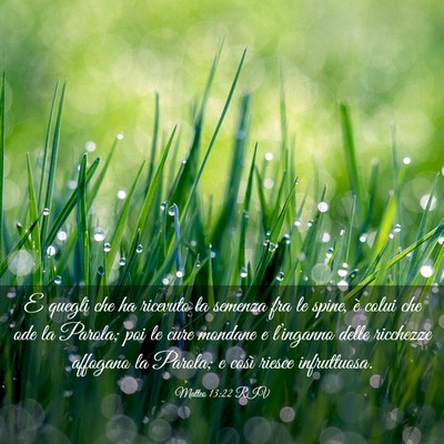 Picture 03 - Matteo 13:22 RIV - E quegli che ha ricevuto la semenza fra le spine, - Bible Verse Picture