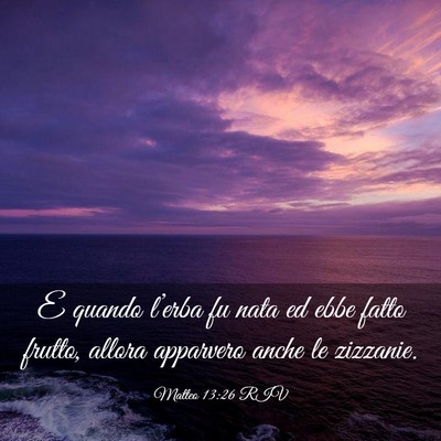 Picture 03 - Matteo 13:26 RIV - E quando l’erba fu nata ed ebbe fatto frutto, - Bible Verse Picture