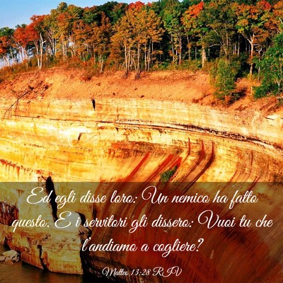 Picture 03 - Matteo 13:28 RIV - Ed egli disse loro: Un nemico ha fatto questo. E - Bible Verse Picture