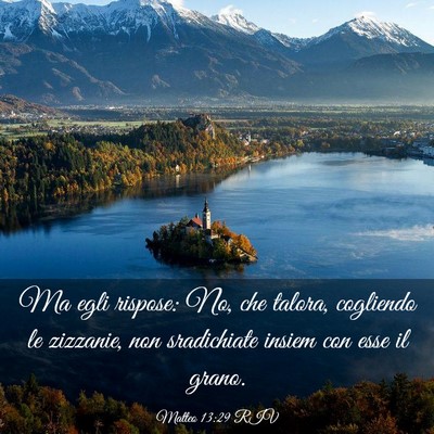 Picture 03 - Matteo 13:29 RIV - Ma egli rispose: No, che talora, cogliendo le - Bible Verse Picture