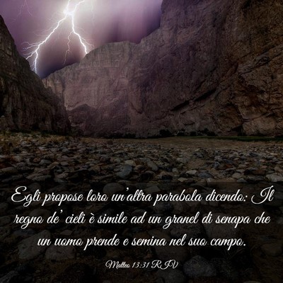 Picture 03 - Matteo 13:31 RIV - Egli propose loro un’altra parabola dicendo: Il - Bible Verse Picture