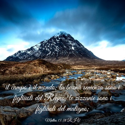 Picture 03 - Matteo 13:38 RIV - il campo è il mondo; la buona semenza sono i - Bible Verse Picture