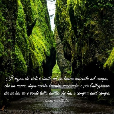 Picture 03 - Matteo 13:44 RIV - Il regno de’ cieli è simile ad un tesoro - Bible Verse Picture