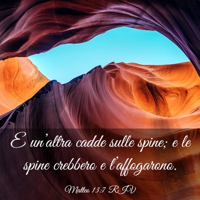 Picture 03 - Matteo 13:7 RIV - E un’altra cadde sulle spine; e le spine - Bible Verse Picture