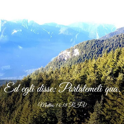 Picture 03 - Matteo 14:18 RIV - Ed egli disse: Portatemeli - Bible Verse Picture