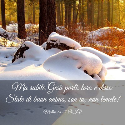 Picture 03 - Matteo 14:27 RIV - Ma subito Gesù parlò loro e disse: State di - Bible Verse Picture