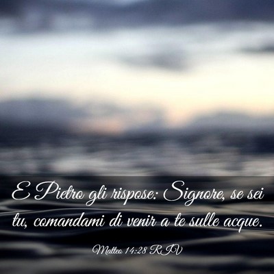 Picture 03 - Matteo 14:28 RIV - E Pietro gli rispose: Signore, se sei tu, - Bible Verse Picture