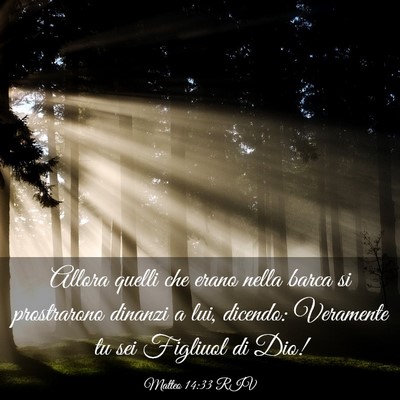 Picture 03 - Matteo 14:33 RIV - Allora quelli che erano nella barca si - Bible Verse Picture