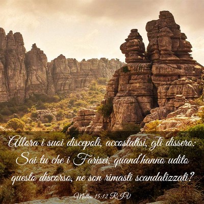 Picture 03 - Matteo 15:12 RIV - Allora i suoi discepoli, accostatisi, gli - Bible Verse Picture