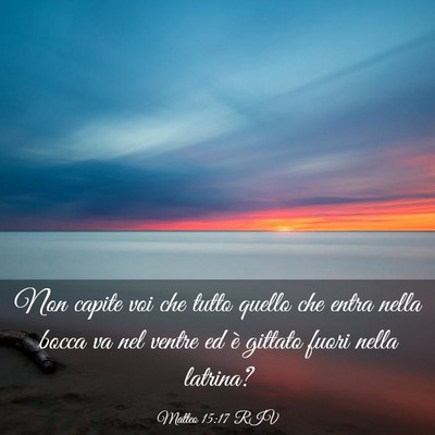 Picture 03 - Matteo 15:17 RIV - Non capite voi che tutto quello che entra nella - Bible Verse Picture