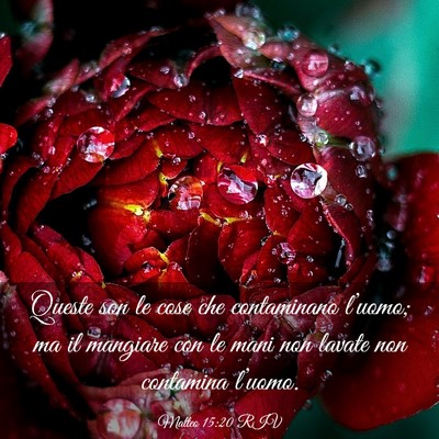 Picture 03 - Matteo 15:20 RIV - Queste son le cose che contaminano l’uomo; ma - Bible Verse Picture