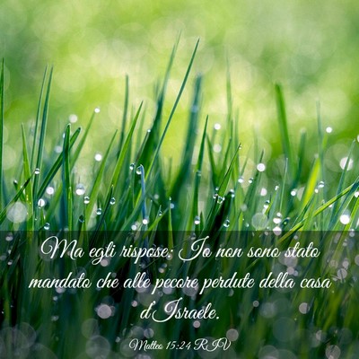 Picture 03 - Matteo 15:24 RIV - Ma egli rispose: Io non sono stato mandato che - Bible Verse Picture