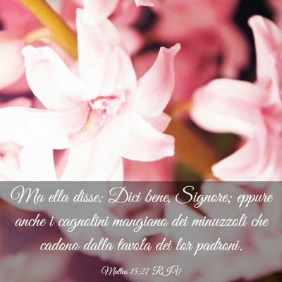 Picture 03 - Matteo 15:27 RIV - Ma ella disse: Dici bene, Signore; eppure anche i - Bible Verse Picture