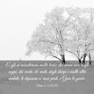 Picture 03 - Matteo 15:30 RIV - E gli si accostarono molte turbe che avean seco - Bible Verse Picture