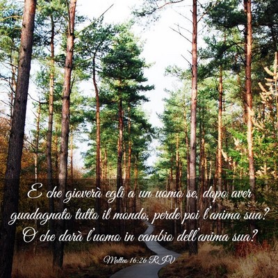 Picture 03 - Matteo 16:26 RIV - E che gioverà egli a un uomo se, dopo aver - Bible Verse Picture
