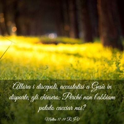 Picture 03 - Matteo 17:19 RIV - Allora i discepoli, accostatisi a Gesù in - Bible Verse Picture