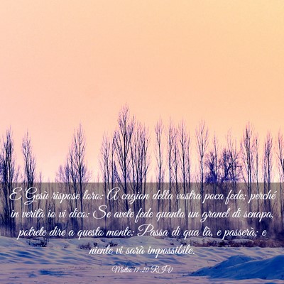 Picture 03 - Matteo 17:20 RIV - E Gesù rispose loro: A cagion della vostra poca - Bible Verse Picture