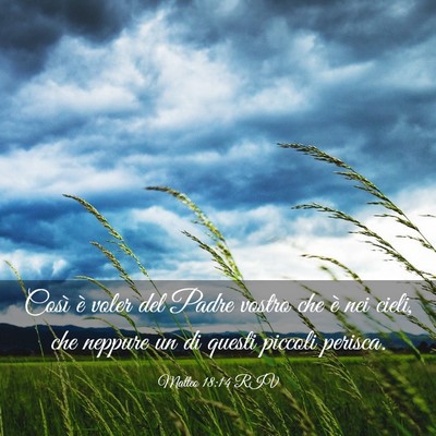 Picture 03 - Matteo 18:14 RIV - Così è voler del Padre vostro che è nei cieli, - Bible Verse Picture