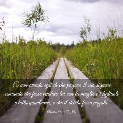 Picture 03 - Matteo 18:25 RIV - E non avendo egli di che pagare, il suo signore - Bible Verse Picture
