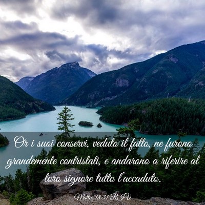 Picture 03 - Matteo 18:31 RIV - Or i suoi conservi, veduto il fatto, ne furono - Bible Verse Picture