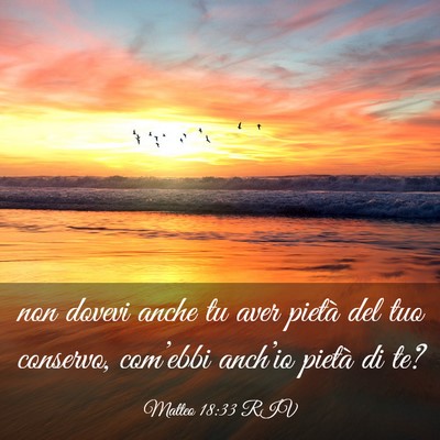 Picture 03 - Matteo 18:33 RIV - non dovevi anche tu aver pietà del tuo conservo, - Bible Verse Picture