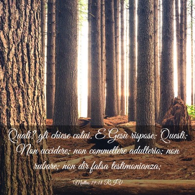 Picture 03 - Matteo 19:18 RIV - Quali? gli chiese colui. E Gesù rispose: Questi: - Bible Verse Picture