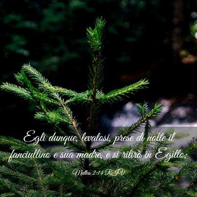 Picture 03 - Matteo 2:14 RIV - Egli dunque, levatosi, prese di notte il - Bible Verse Picture