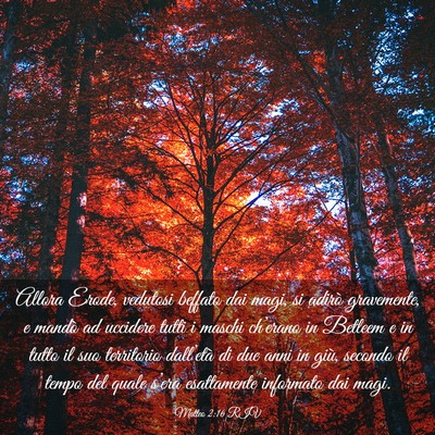 Picture 03 - Matteo 2:16 RIV - Allora Erode, vedutosi beffato dai magi, si - Bible Verse Picture