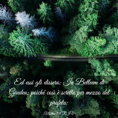 Picture 03 - Matteo 2:5 RIV - Ed essi gli dissero: In Betleem di Giudea; - Bible Verse Picture